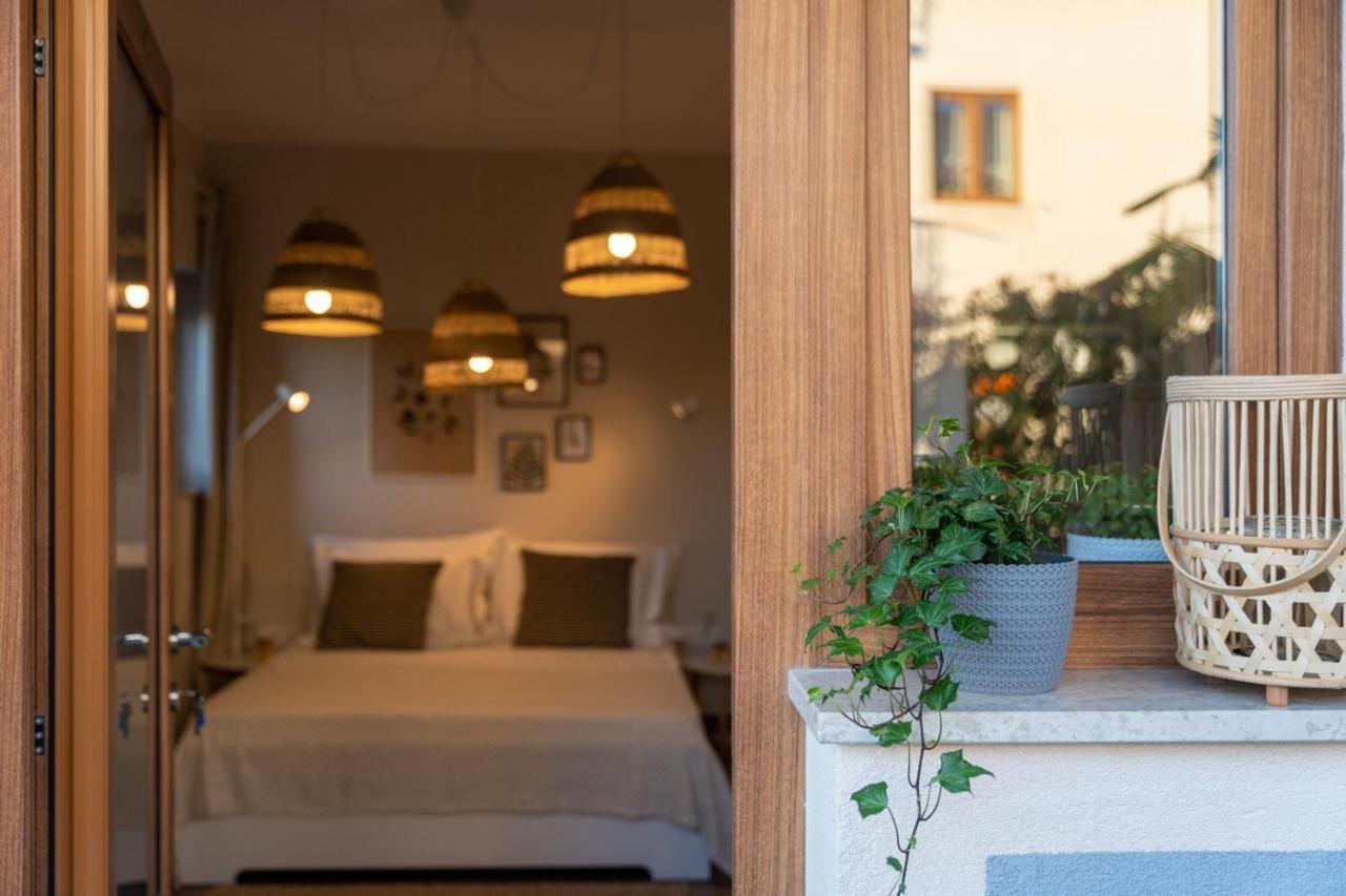 Apartments Alloro By Seeadria Agency Novigrad Istria 외부 사진