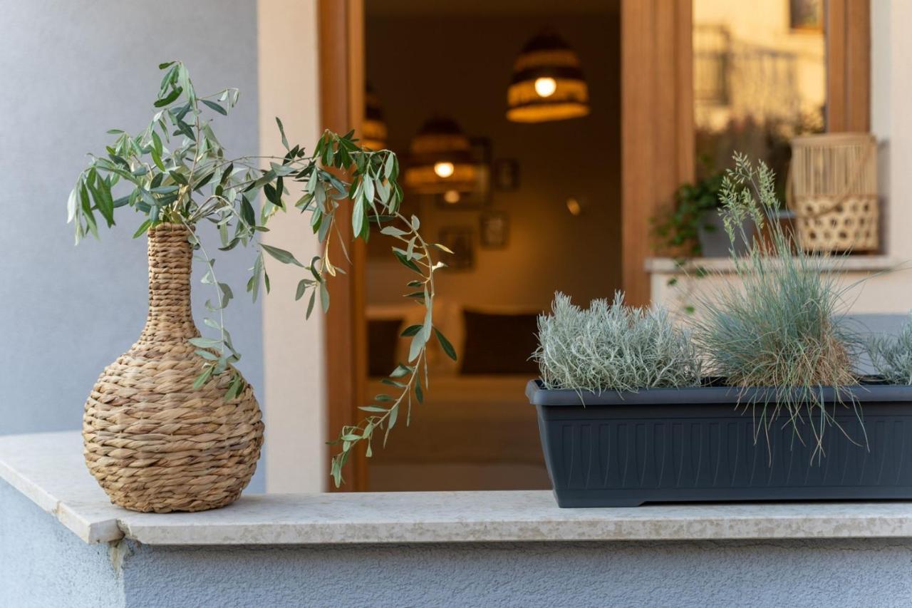 Apartments Alloro By Seeadria Agency Novigrad Istria 외부 사진