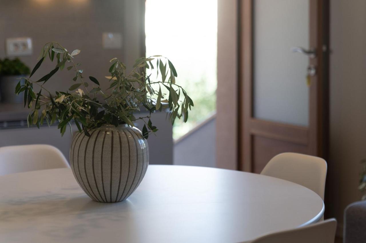 Apartments Alloro By Seeadria Agency Novigrad Istria 외부 사진